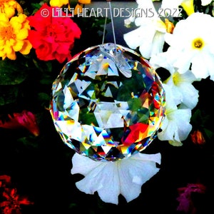 Swarovski Crystal Suncatcher BIG RETIRED 60mm BALL 8558 Strass Logo Etched Ready to Hang or Paperweight Window Rainbows Lilli Heart Designs